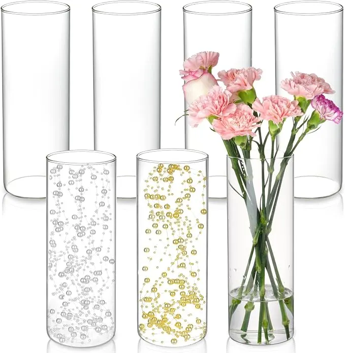 Tall Glass Cylinder Vases II